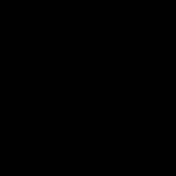 Meet your Posher, Gissele - Picture 1 of 1